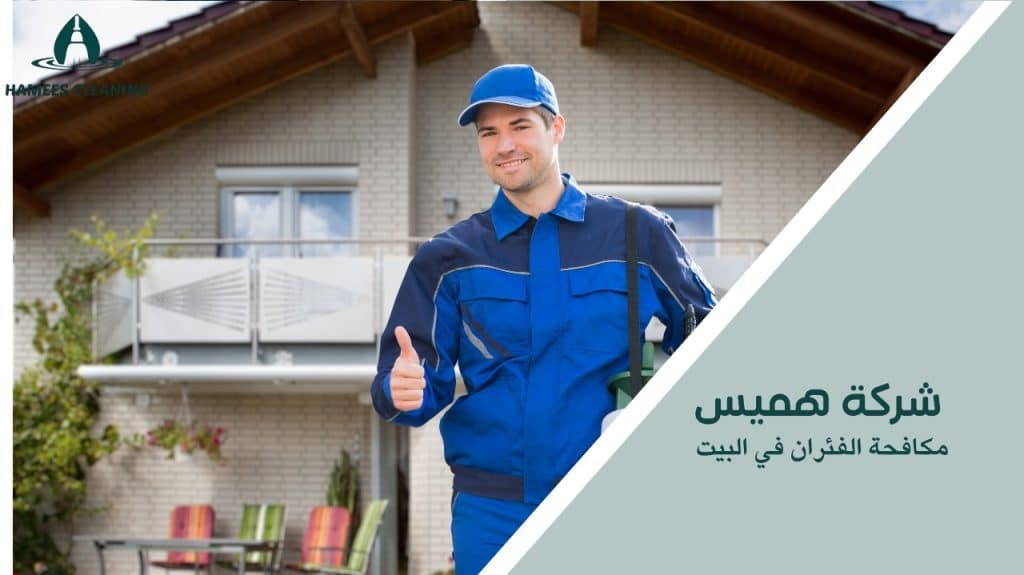 مكافحة الفئران في البيت