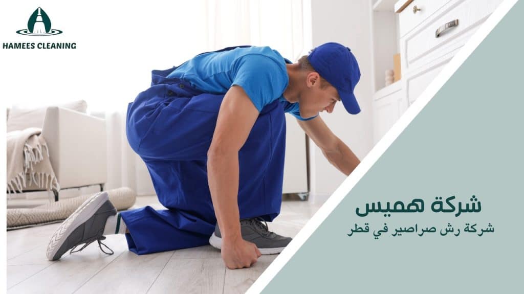 شركة رش صراصير في قطر