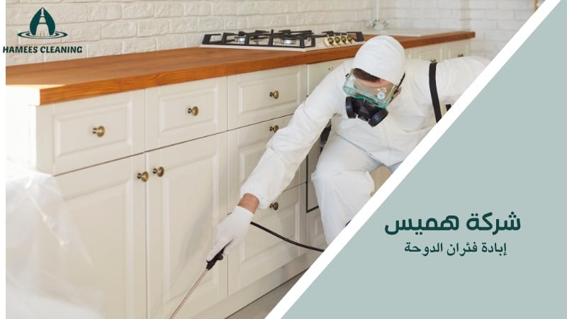 إبادة فئران الدوحة