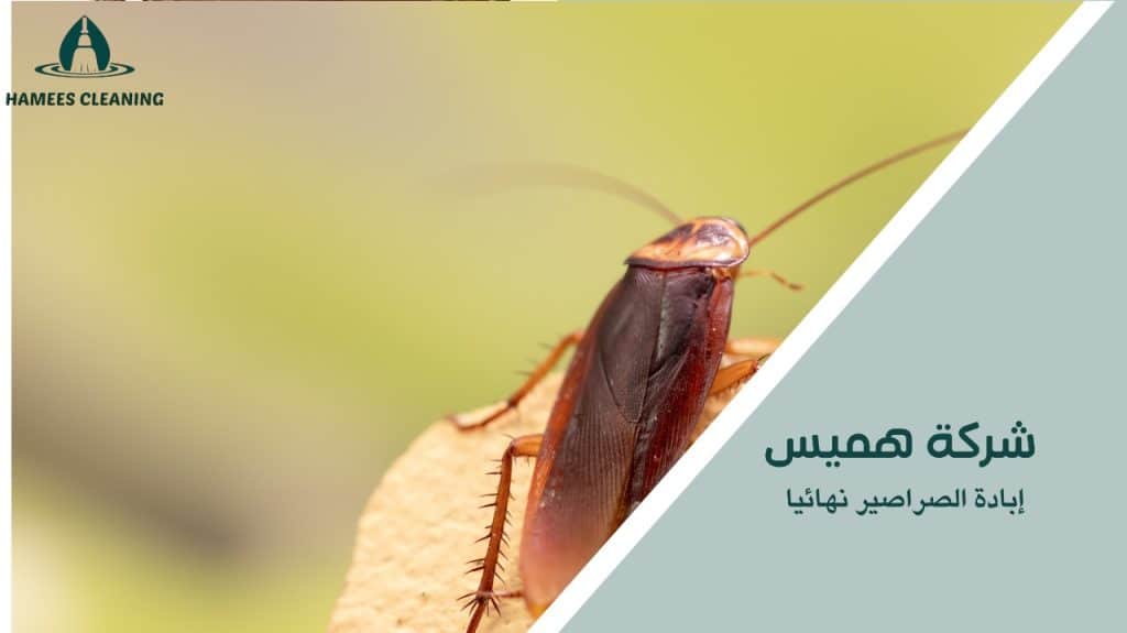 إبادة الصراصير نهائيا