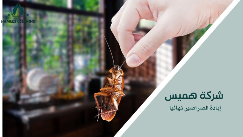 إبادة الصراصير نهائيا