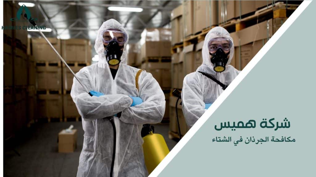 مكافحة الجرذان في الشتاء