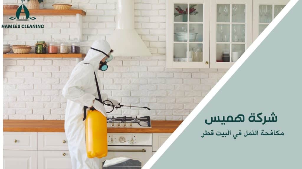 مكافحة النمل في البيت قطر