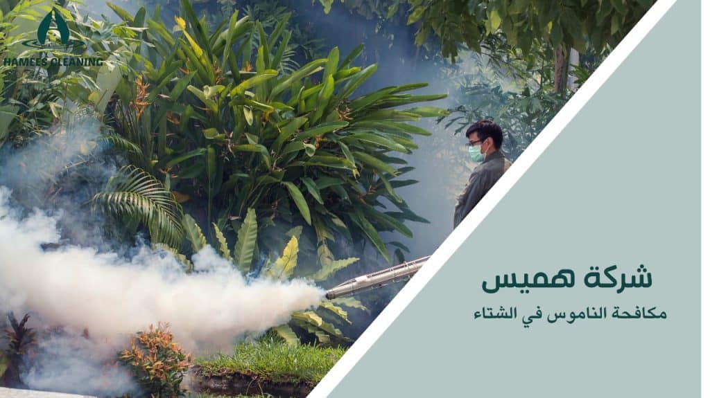 مكافحة الناموس في الشتاء