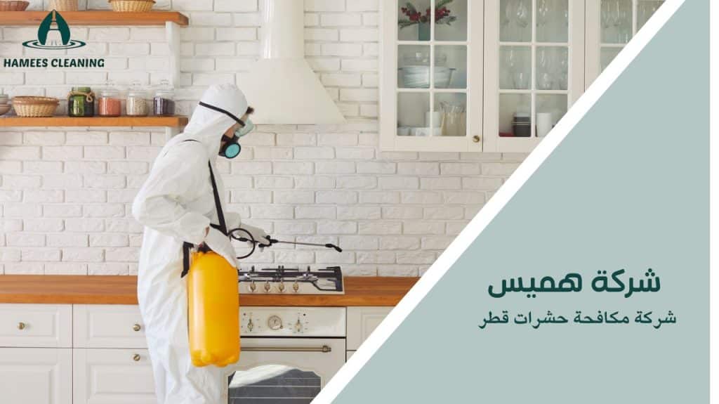 شركة مكافحة حشرات قطر