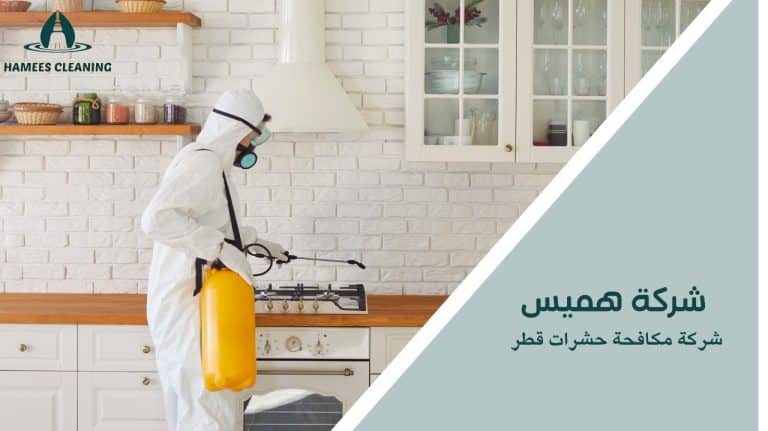 شركة مكافحة حشرات قطر