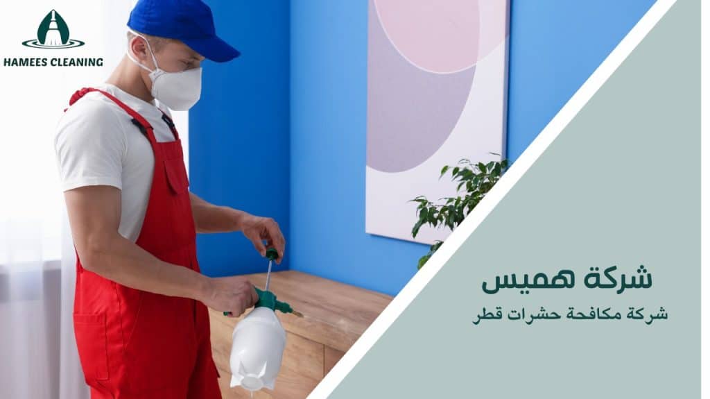 شركة مكافحة حشرات قطر