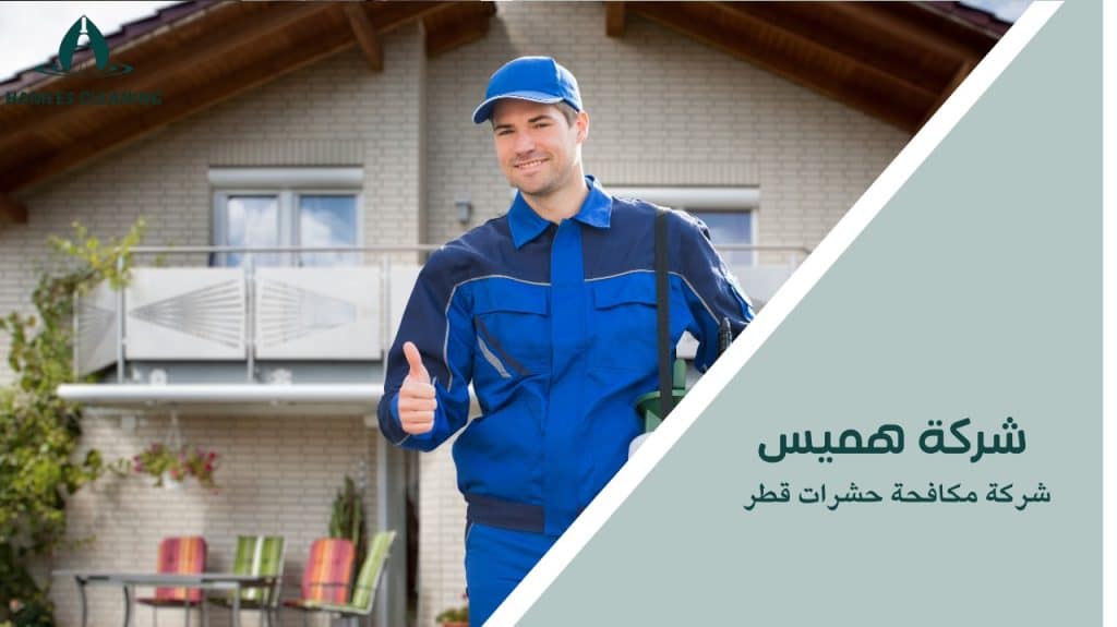 شركة مكافحة حشرات قطر