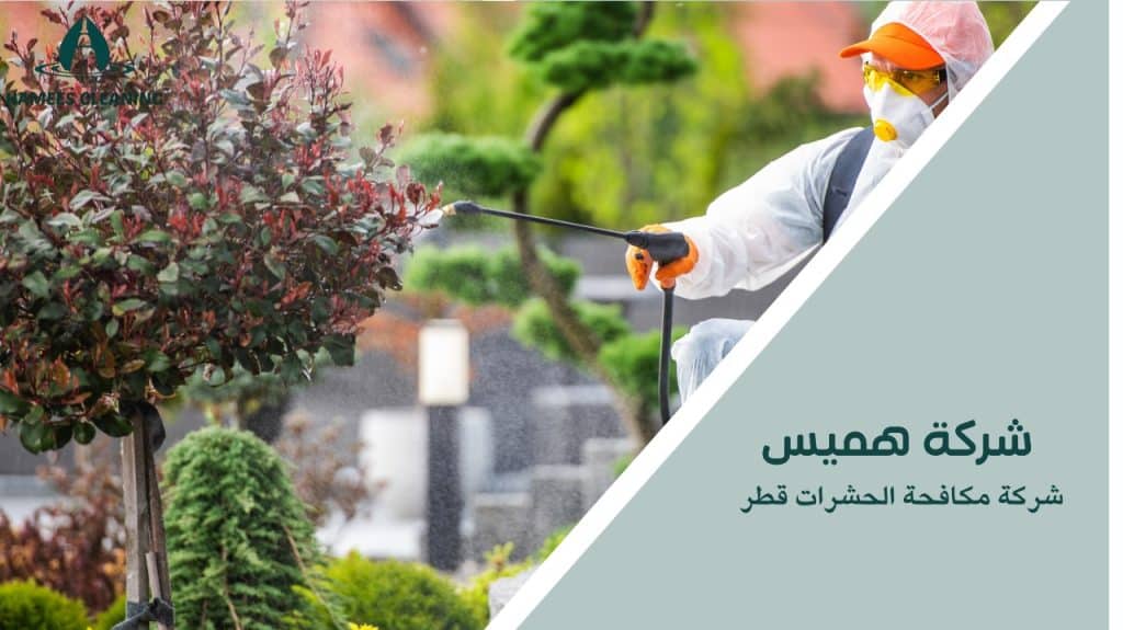 شركة مكافحة الحشرات قطر