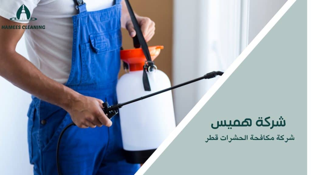 شركة مكافحة الحشرات قطر