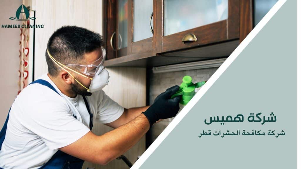 شركة مكافحة الحشرات قطر
