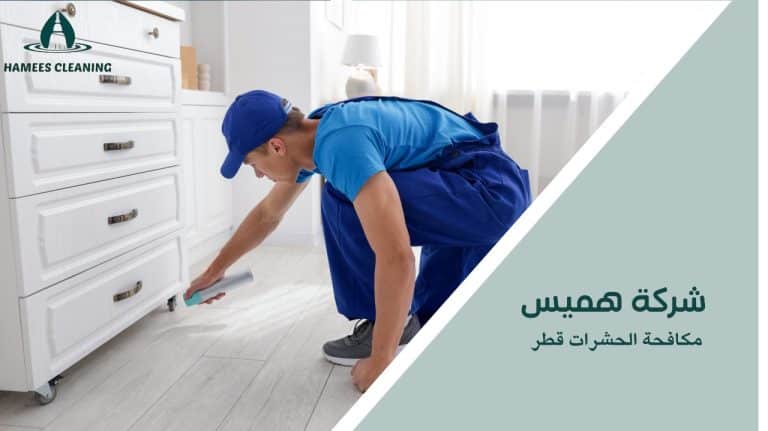 مكافحة الحشرات قطر