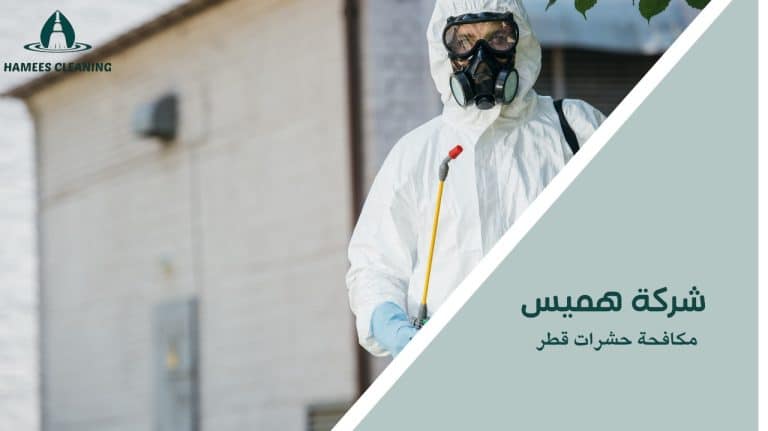 مكافحة حشرات قطر