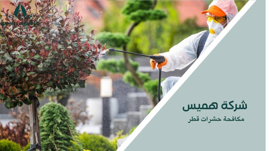 مكافحة حشرات قطر