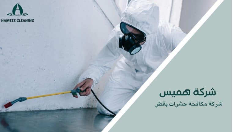 شركة مكافحة حشرات بقطر