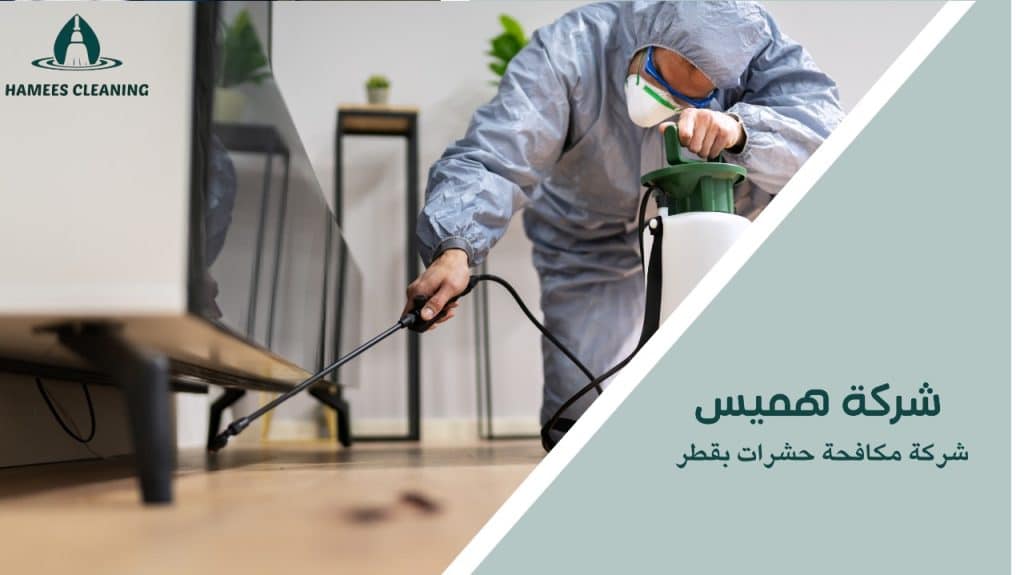 شركة مكافحة حشرات بقطر