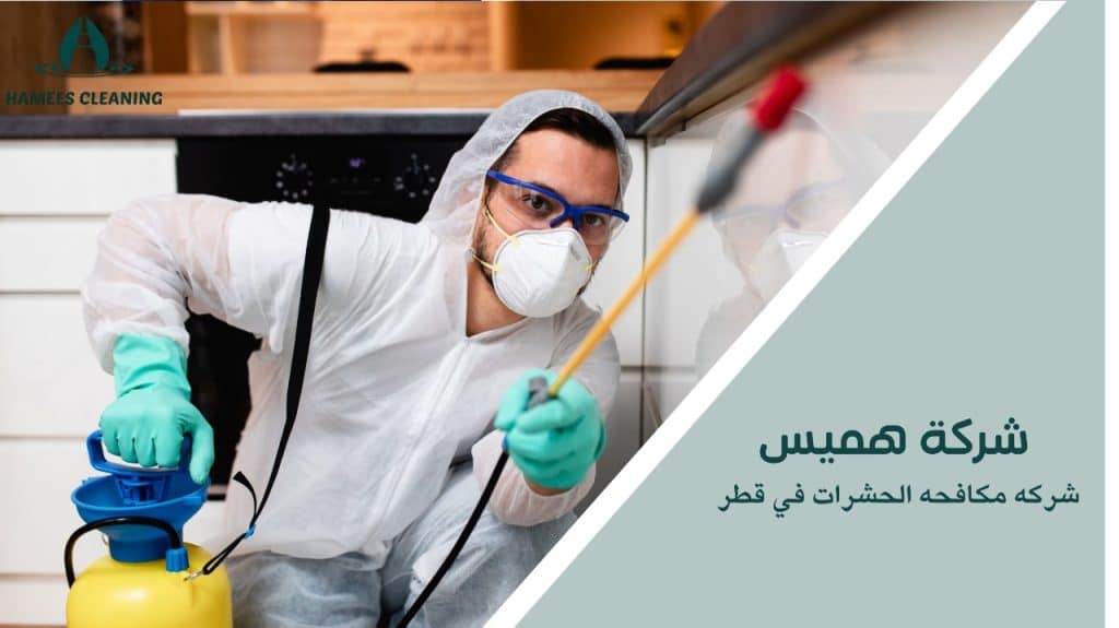 شركه مكافحه الحشرات في قطر