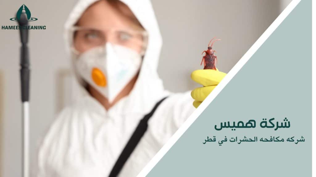 شركه مكافحه الحشرات في قطر