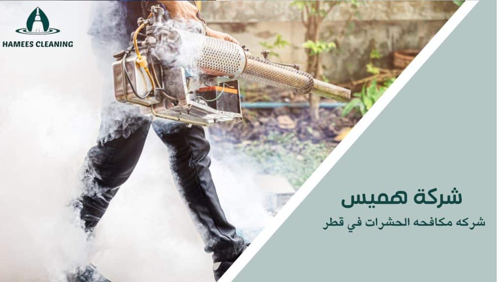 شركه مكافحه الحشرات في قطر
