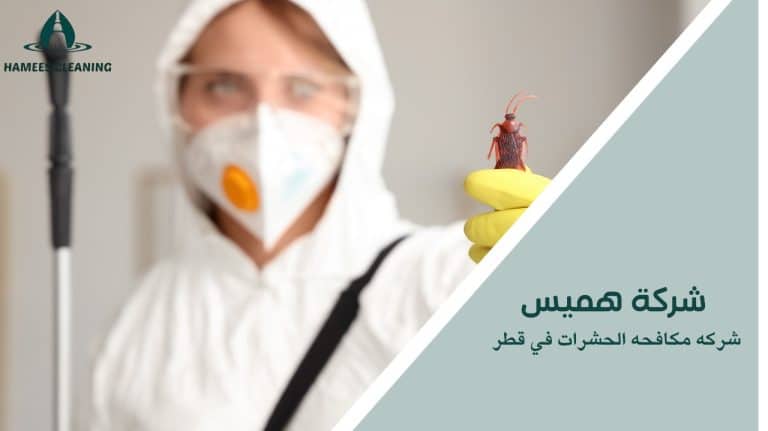 شركه مكافحه الحشرات في قطر
