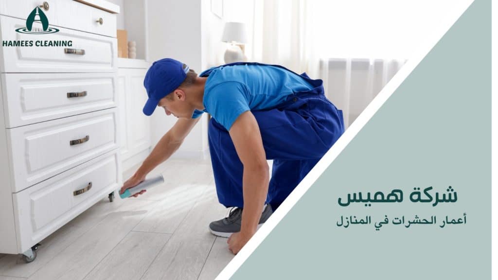  أعمار الحشرات في المنازل