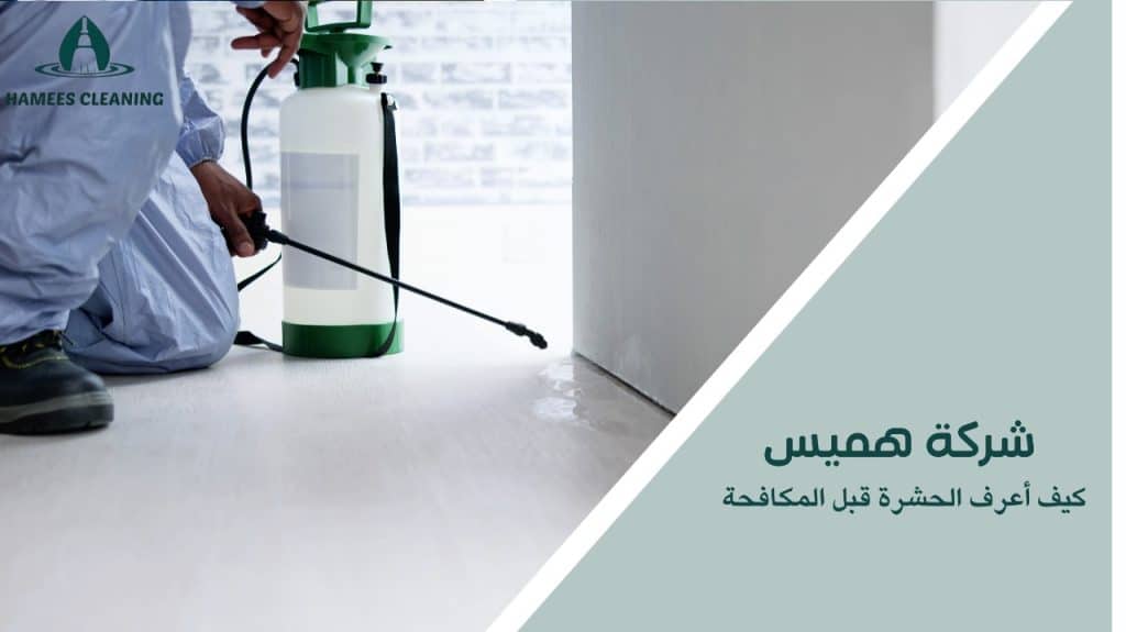 كيف أعرف الحشرة قبل المكافحة
