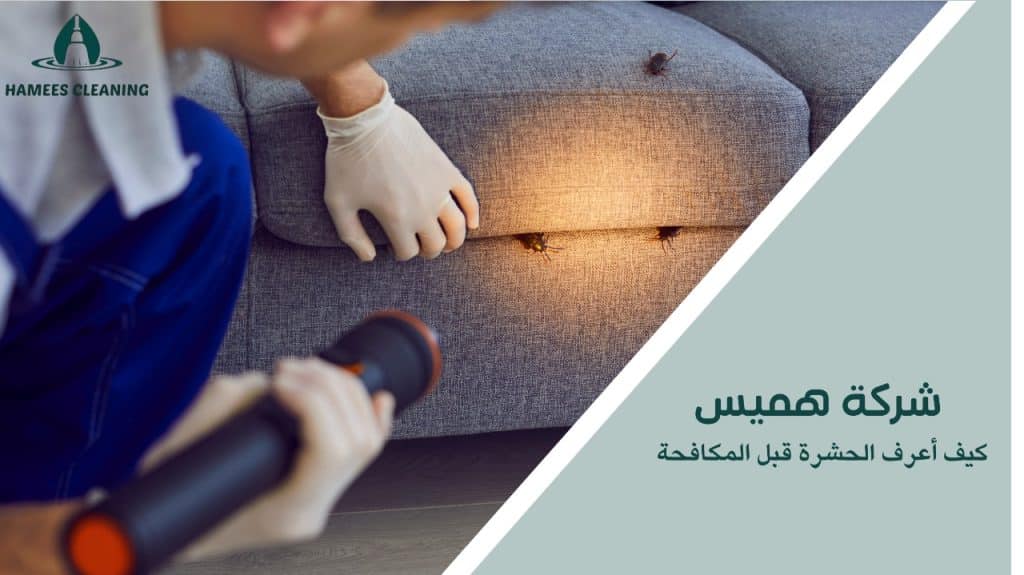 كيف أعرف الحشرة قبل المكافحة