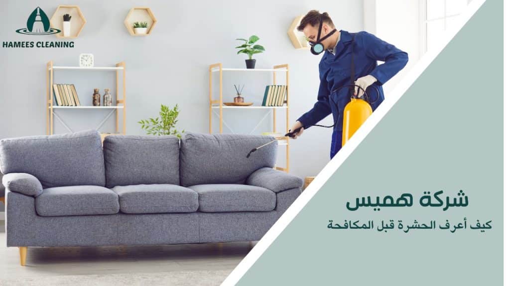 كيف أعرف الحشرة قبل المكافحة
