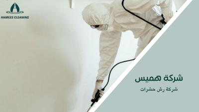 شركة رش الحشرات