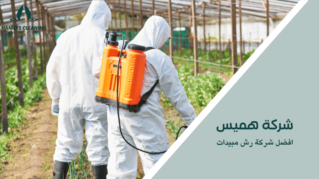 أفضل شركة رش مبيدات