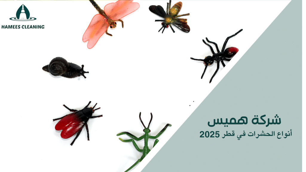 أنواع الحشرات في قطر 2025