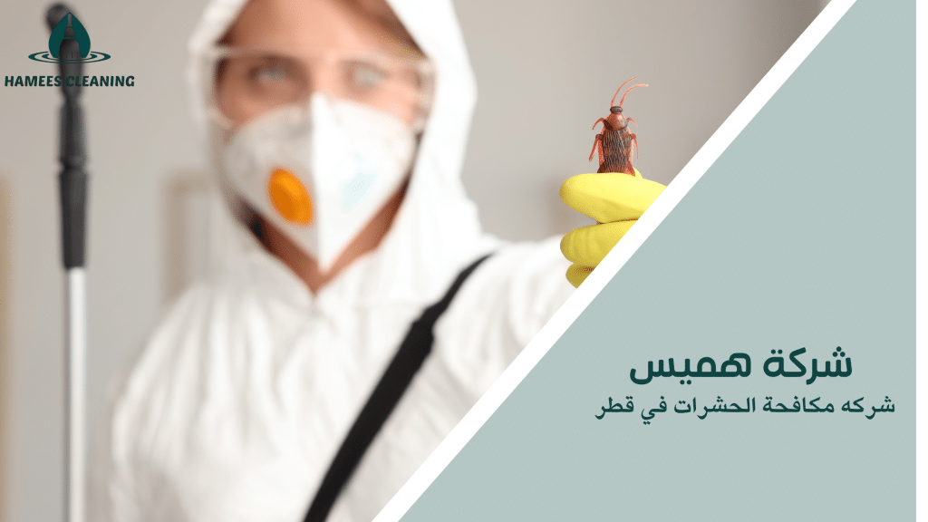 شركه مكافحة الحشرات في قطر