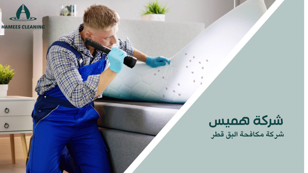 شركة مكافحة البق قطر