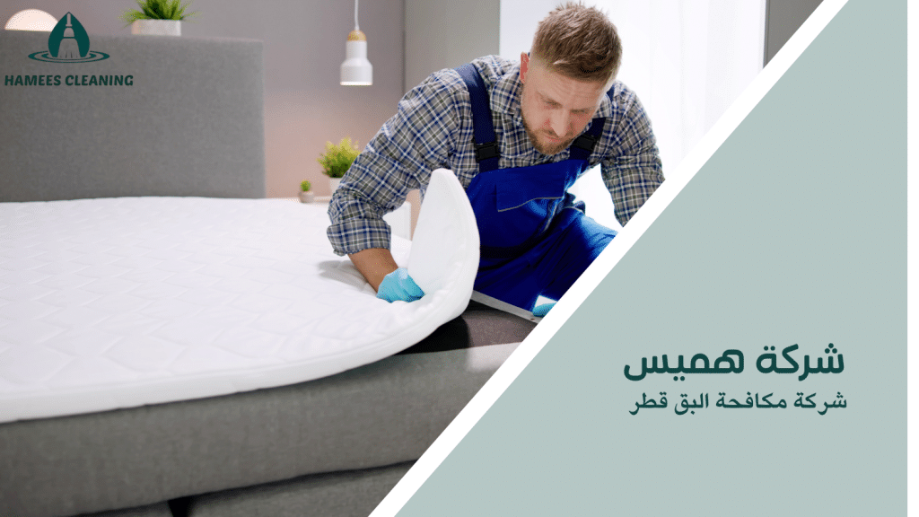 شركة مكافحة البق قطر
