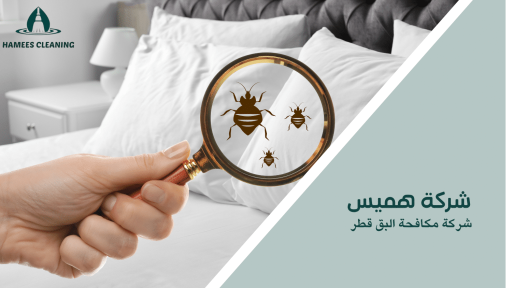 شركة مكافحة البق قطر