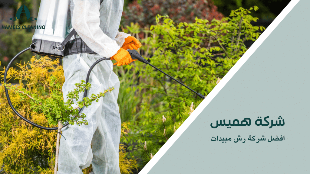 أفضل شركة رش مبيدات