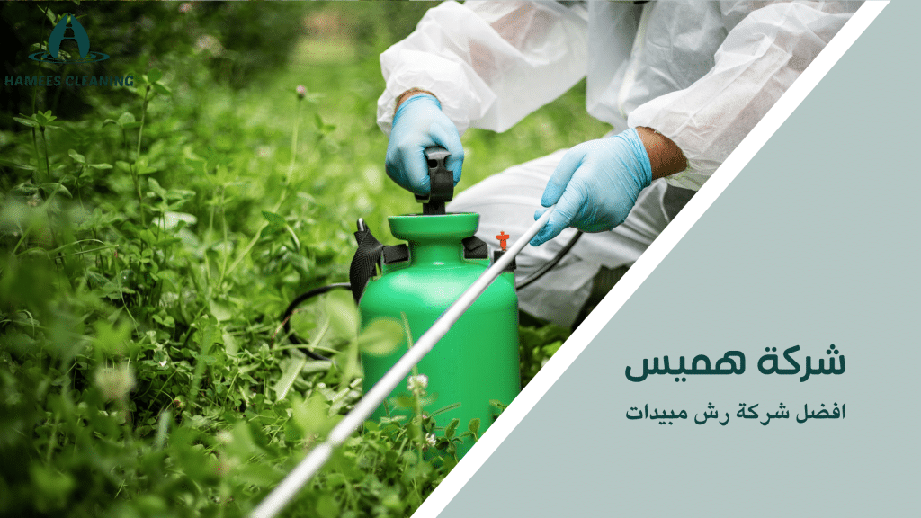 أفضل شركة رش مبيدات