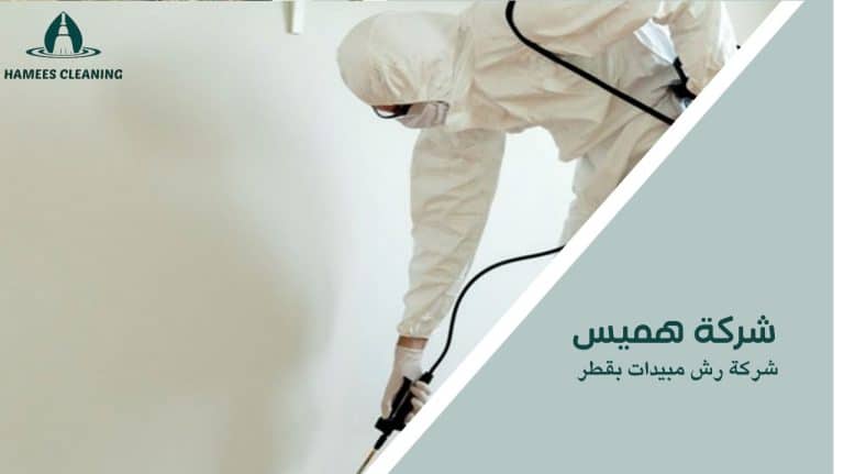 شركة رش مبيدات بقطر