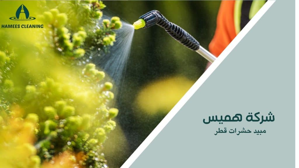 مبيد حشرات قطر