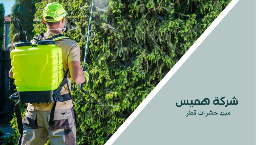 مبيد حشرات قطر