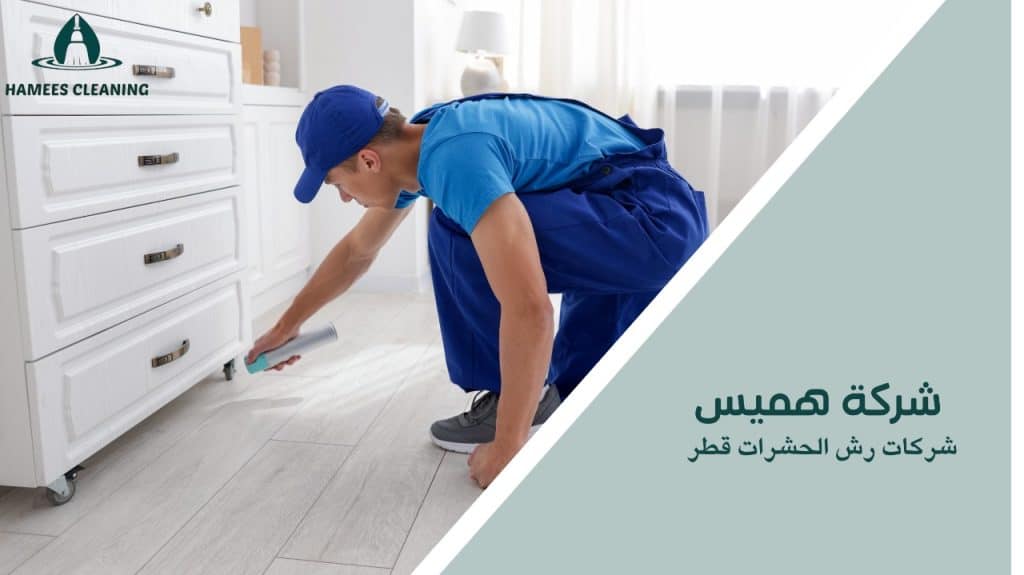 شركات رش الحشرات قطر