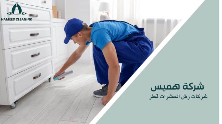 شركات رش الحشرات قطر