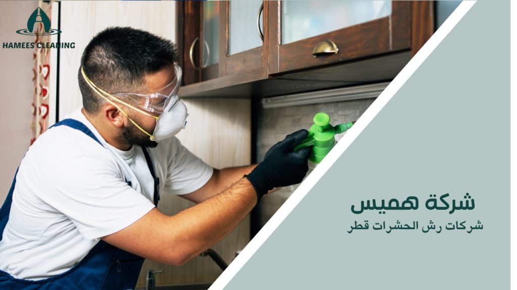 شركات رش الحشرات قطر