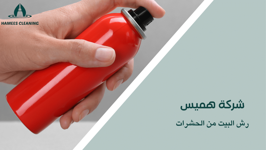 رش البيت من الحشرات
