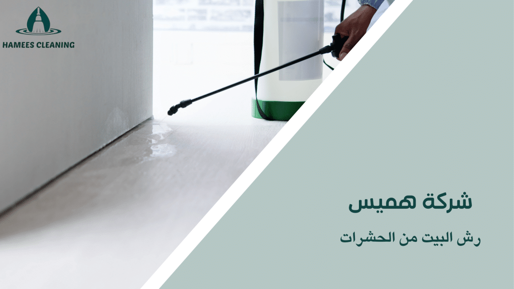 رش البيت من الحشرات