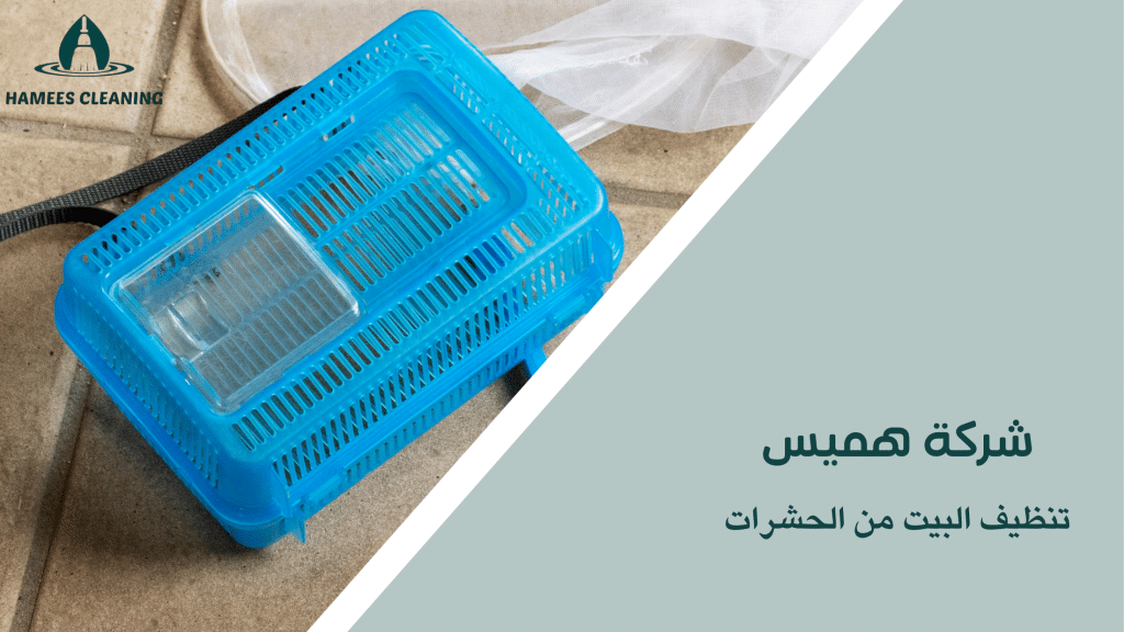 تنظيف البيت من الحشرات