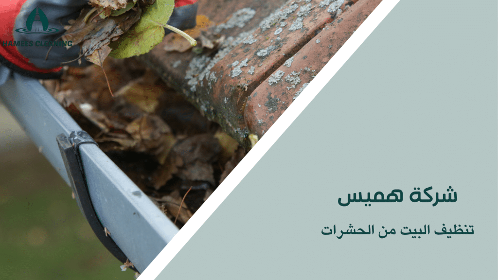 تنظيف البيت من الحشرات