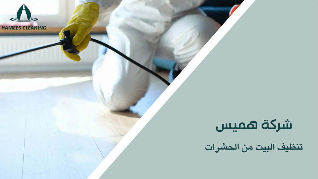 تنظيف البيت من الحشرات