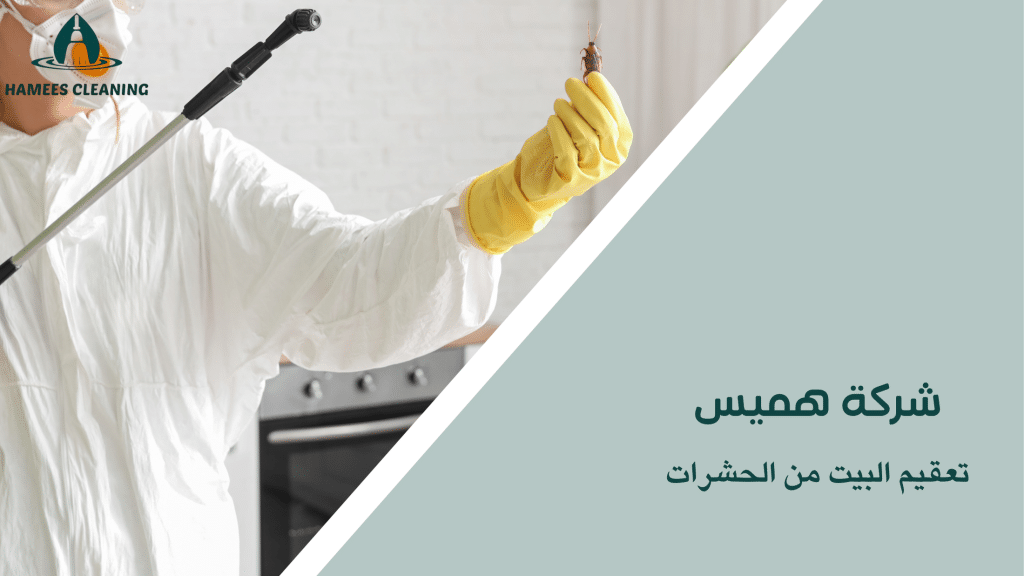 تعقيم البيت من الحشرات