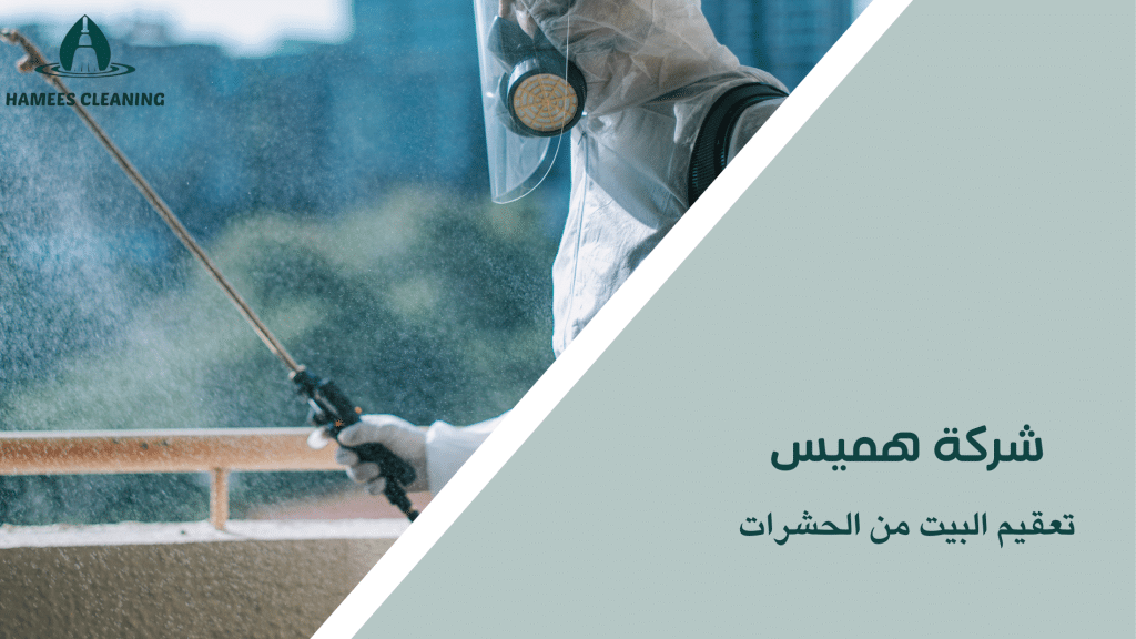 تعقيم البيت من الحشرات